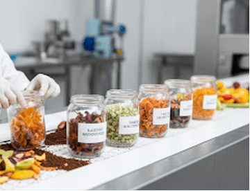 Supporting the Transition: The Revised Waste Framework&nbsp;Directive